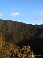 Parque Nacional Podocarpus