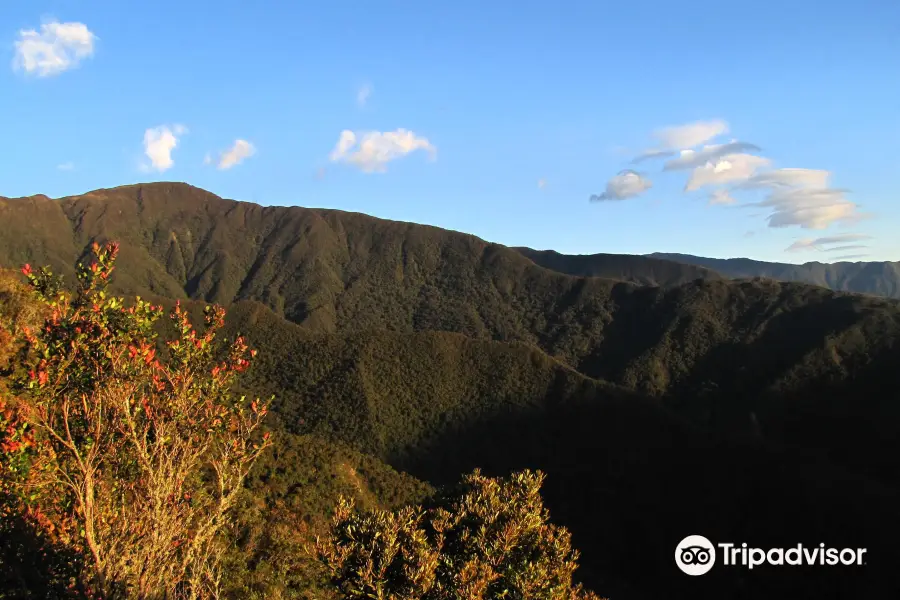 Parque Nacional Podocarpus