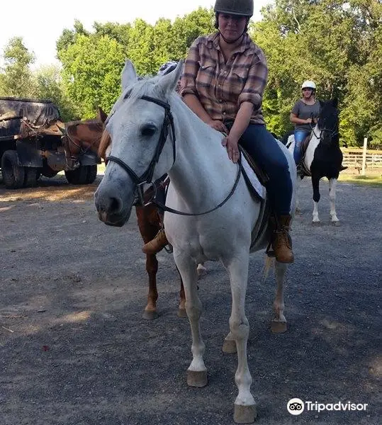 Saddle Brook Farm Animal Rescue