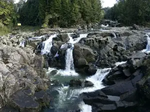 McLaren Falls Park