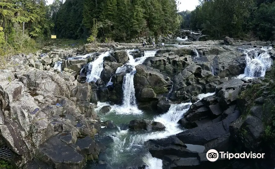 McLaren Falls Park