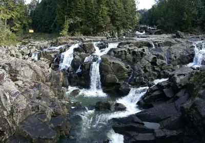 Lower Kaimai