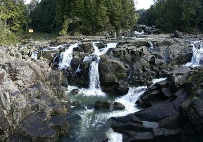 McLaren Falls Park