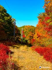 Harriman State Park