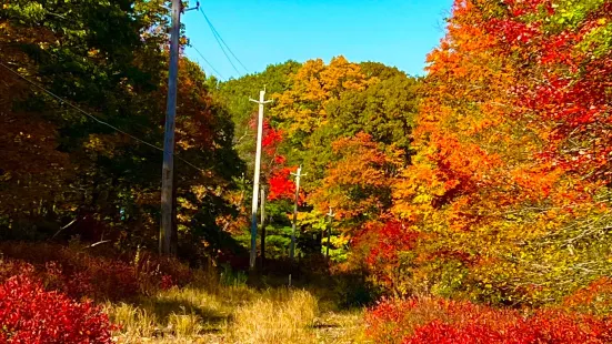 Harriman State Park