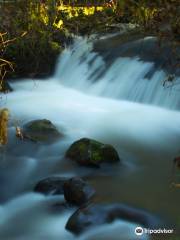 McDowell Creek Falls