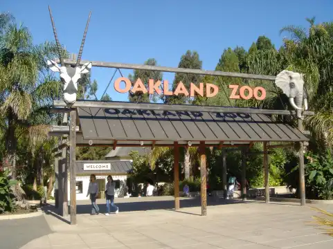 Hotels near Oakland Zoo
