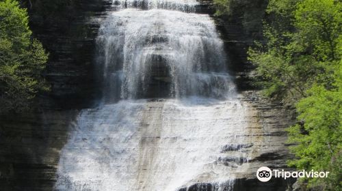 Shequaga Falls