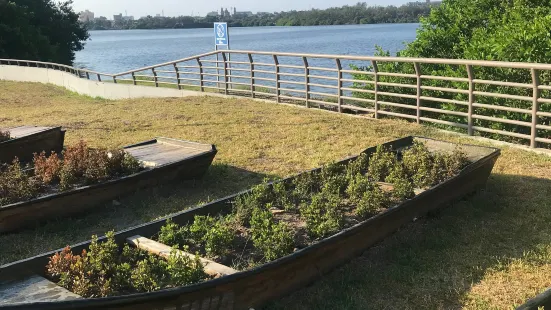 Laguna del Carpintero