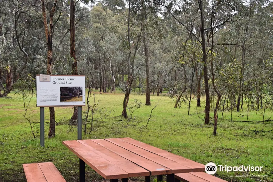 Pines Conservation Reserve