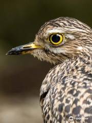 Umgeni River Bird Park