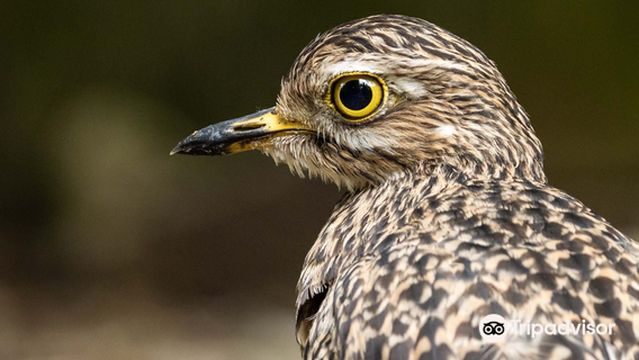 Umgeni River Bird Park