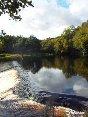 Roe Valley Country Park