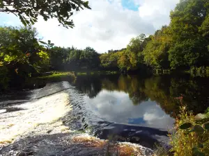 Roe Valley Country Park