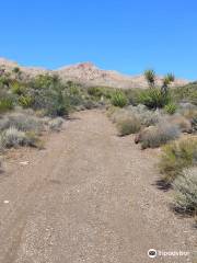 Castle Mountains National Monument