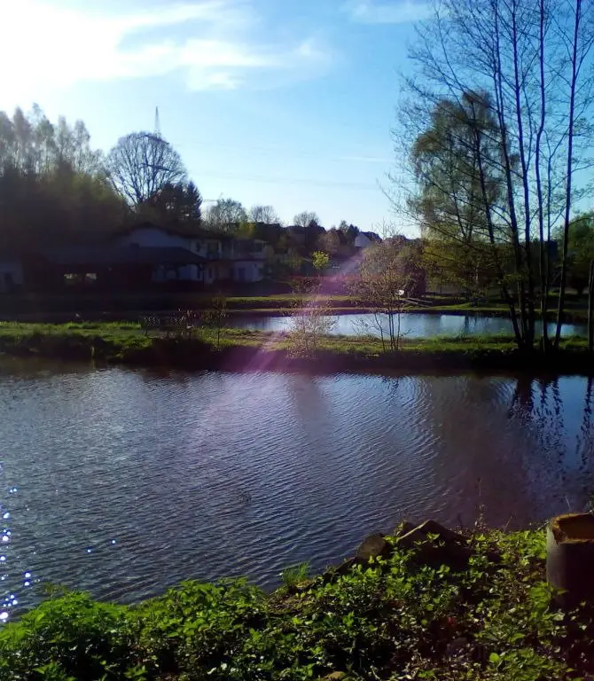Wallhalben