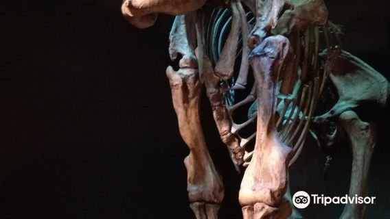 Museum of South Texas History