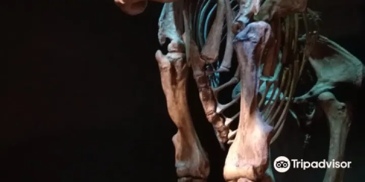 Museum of South Texas History