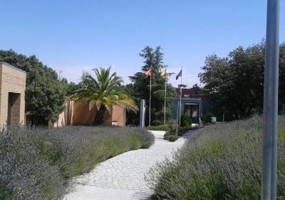 Biblioteca Volturno