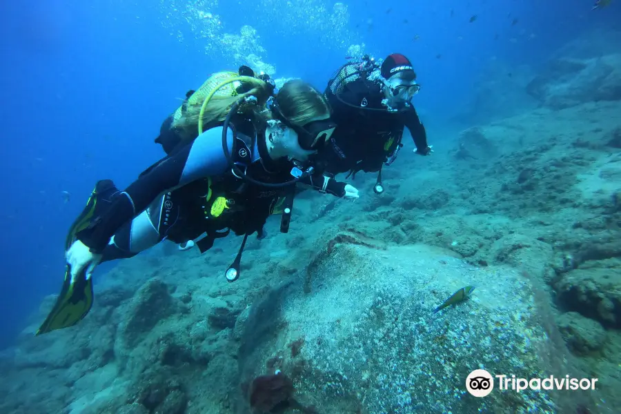 Bahianus Club Tauchen auf Lanzarote