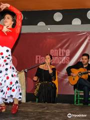 Entre Flamencos del Puerto