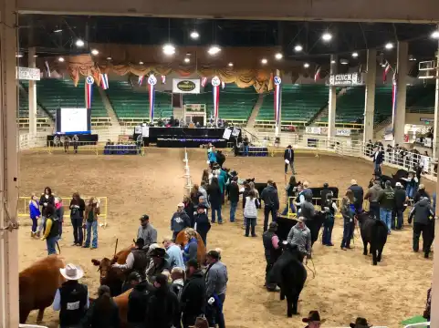 Hotels near National Western Complex