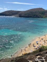 Hanauma Bay Snorkel Adventures