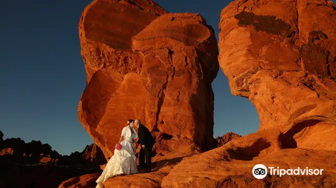 Welcome Suica&JR Line One Day Pass (Pick up at Haneda Airport)