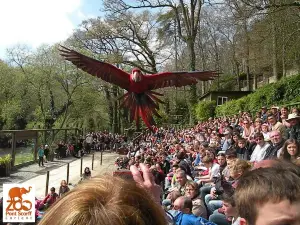 Zoo de Pont-Scorff