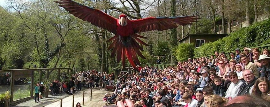 Zoo de Pont-Scorff