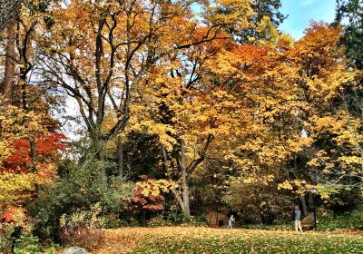 Lithia Park