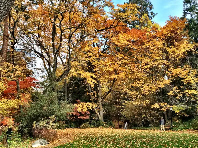 Hotels near Lithia Park
