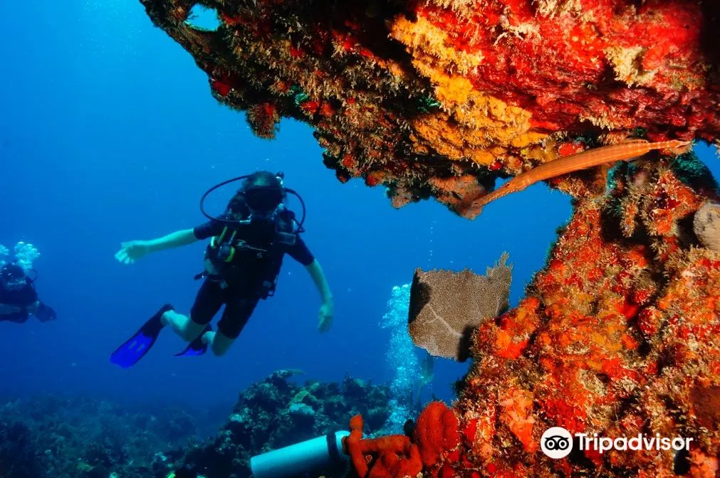 3_Cancun Diving College