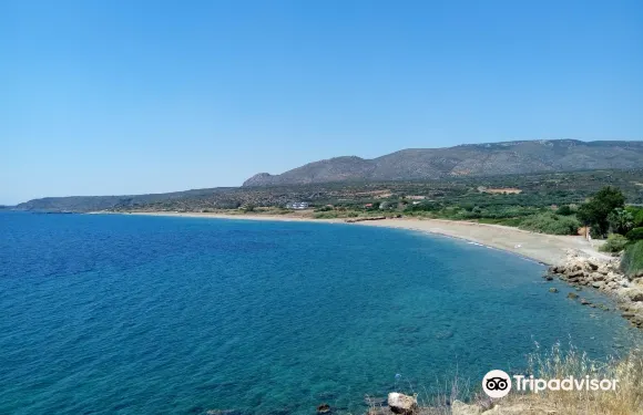 帕拉利亞戴莫尼亞斯