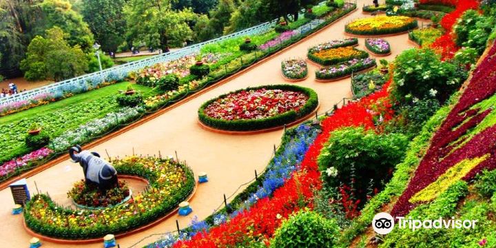 สวนพฤกษศาสตร์รัฐบาล