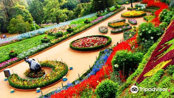 Government Botanical Garden