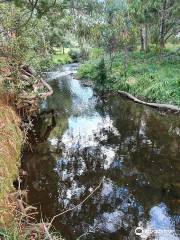 Platypus Walk