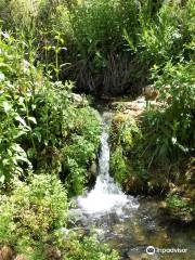 Font de la Coveta