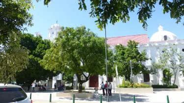 Monteria
