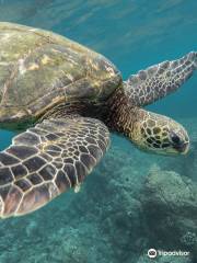 IHASIA DIVING KOH TAO