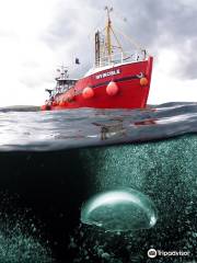 M.V. Invincible Scapa Flow Scuba Diving Holidays