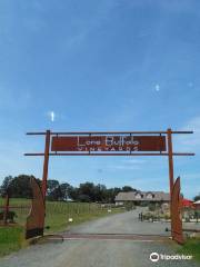 Lone Buffalo Vineyards