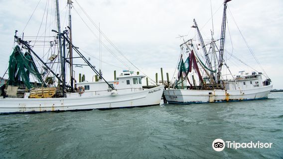 Charleston Outdoor Adventures
