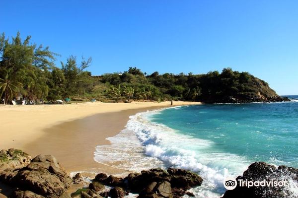 New York to Puerto Escondido flight