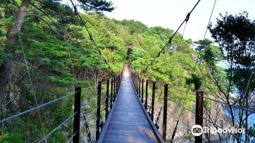 橋立つり橋