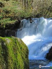 Alsea Falls Recreational Site