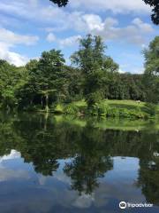 Moseley Park and Pool