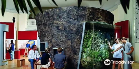 Maarmuseum Manderscheid