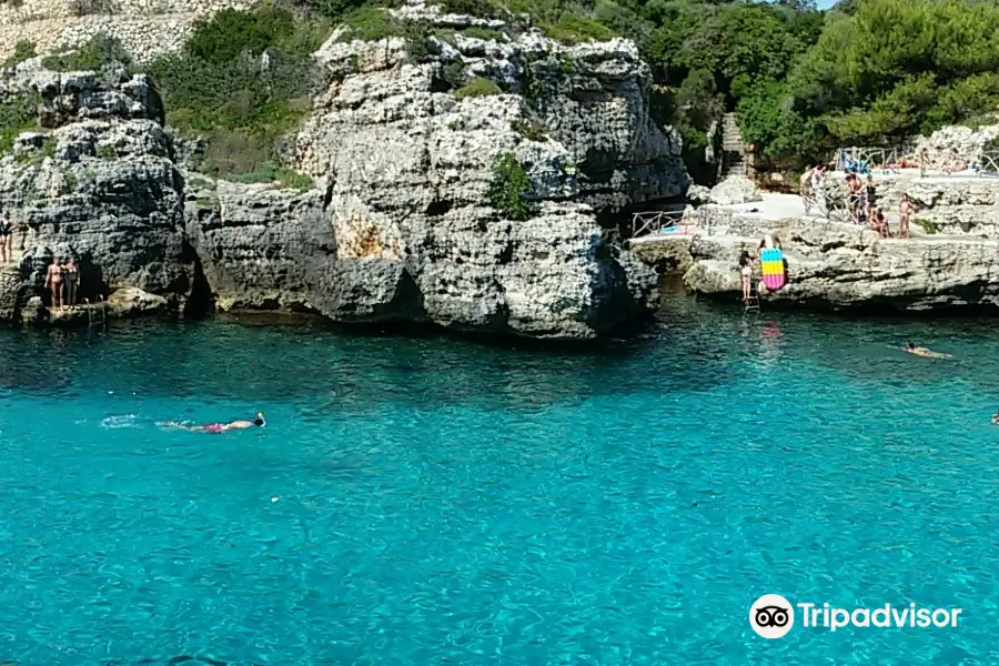 Cala en Brut