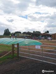 Amerton Farm & Billy's Farm Barn